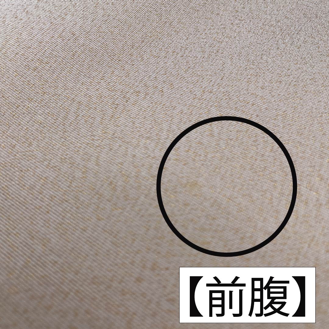 袋帯 正絹 薄肉色（うすにくいろ） 雲取り 帯丈366cm Bランク ポイント柄 フォーマル クリーム系 1123011744315