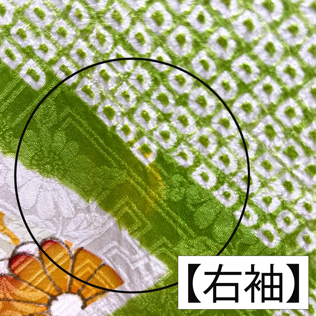 振袖 正絹 Aランク 身丈167.5cm 裄丈64.5cm 袷 萌黄色（もえぎいろ） 京友禅 絞り 古典柄 緑系 1113002813519