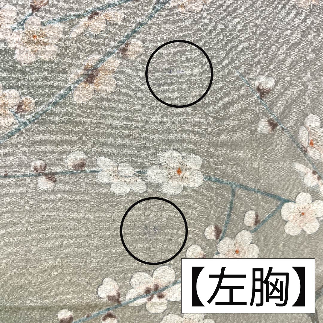 Komon Polyester S Rank Length 161cm (63.4in) Sleeve-to-sleeve 66cm (26.0in) Unlined Enshū-nezumi (Muted Gray) Stenciled Dyeing Gradated Dyeing Cherry Blossom Washable Kimono Beige-tone 1115007802425