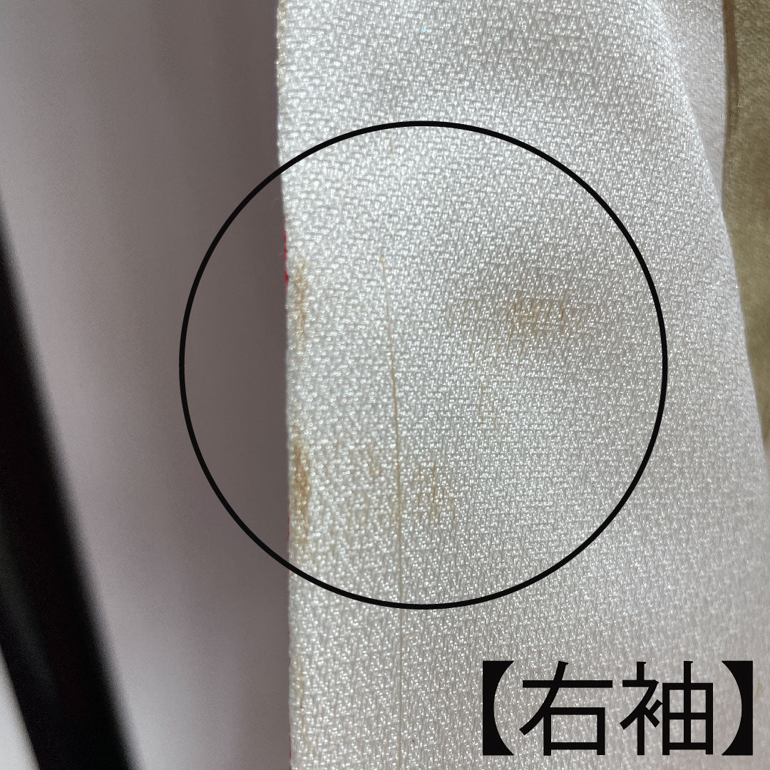 色打掛 正絹 身丈191cm 裄丈65cm  唐織 金彩加工 鶴 Bランク 袷 白系 1110000664911