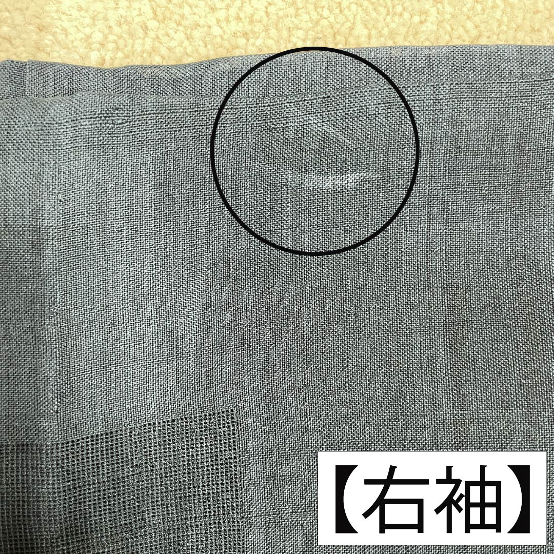 夏物 正絹 色無地 Bランク 身丈161cm 裄丈65.5cm 紬地 紋紗 紗 黒系 1132003824410
