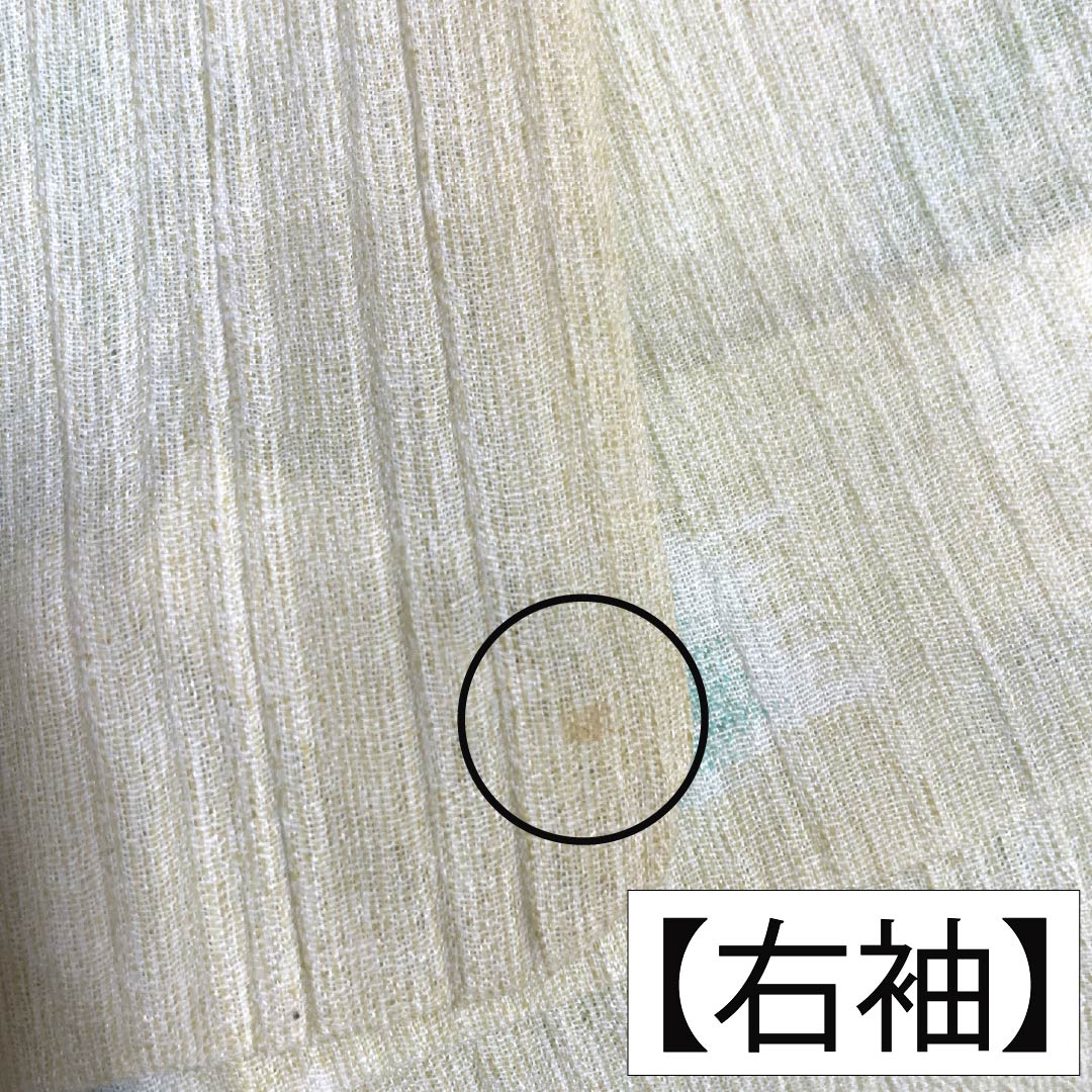 夏物 ポリエステル 紬 Aランク 身丈152.5cm 裄丈62cm 牙黄色（げおういろ） 薔薇 縮風 紗 黄系 1132006333223