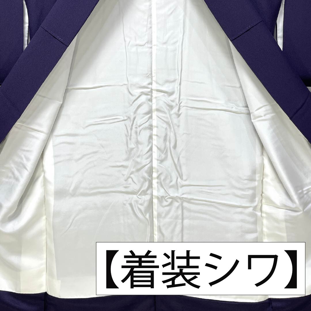 訪問着 正絹 Aランク 袷 身丈157.5cm 裄丈64.5cm 紫烏色（しうしょく） 蘇州刺繡 花丸 吉祥文様 付下げ 紫系 1112007233320