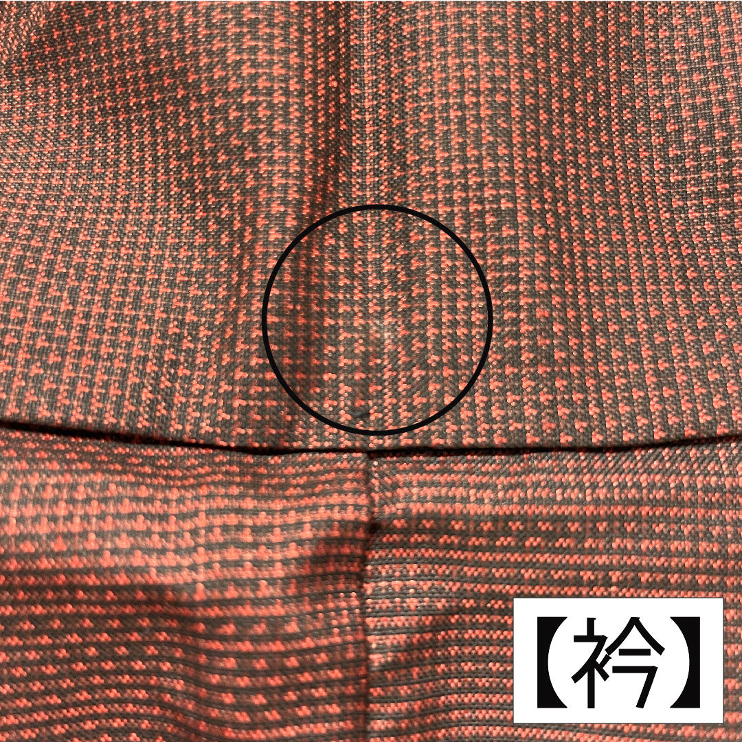 訪問着 正絹 袷 身丈158.5cm 裄丈65cm 生臙脂色（しょうえんじいろ） 大島紬地 紬地 蘇州刺繡 草花模様 Aランク 赤系 1112005493312