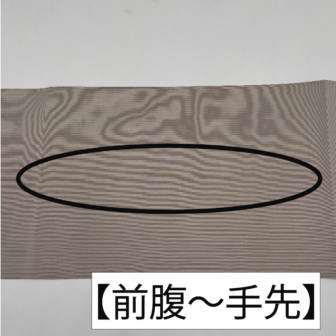 名古屋帯 灰白色色（かいはくしょくいろ） 竹 幕花 帯丈370cm 正絹 Sランク ポイント柄 カジュアル グレー系 1124006422322 松葉仕立て