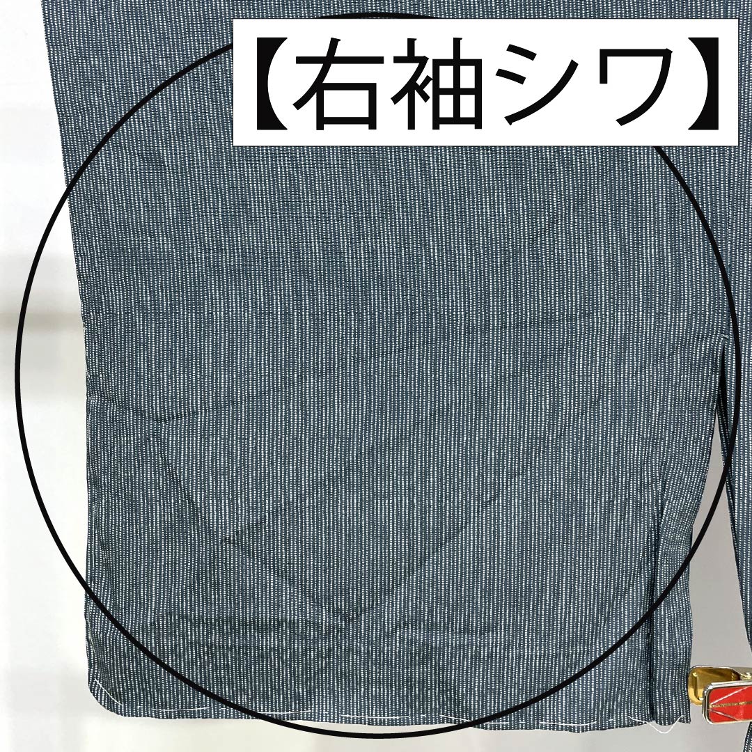 小紋 正絹 Sランク 身丈155cm 裄丈63.5cm 単衣 御召御納戸色（おめしおなんどいろ） 江戸小紋 縞   青系 1115007372317