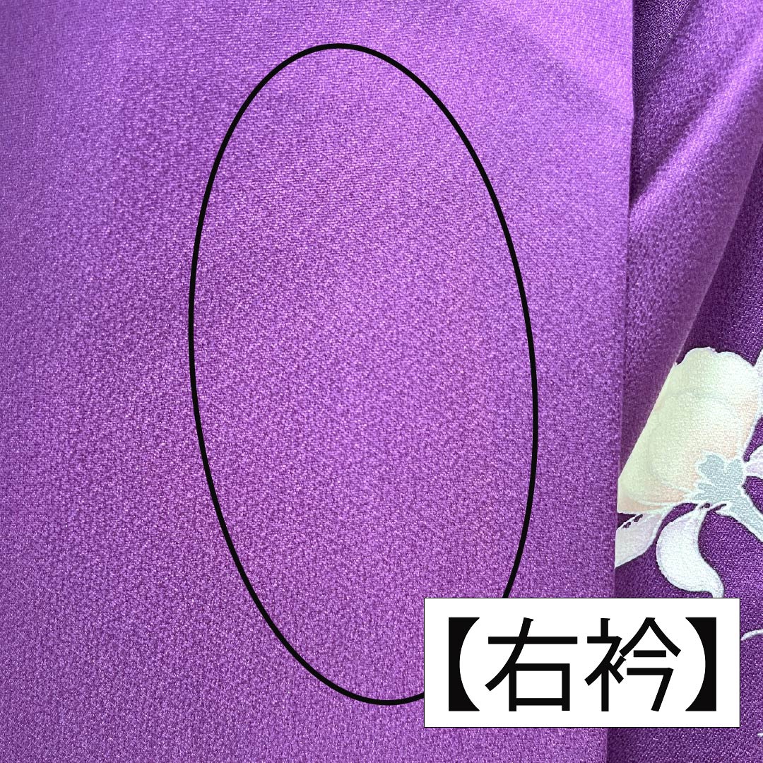 振袖 正絹 Aランク 身丈169cm 裄丈69cm 袷 似紫色（にせむらさきいろ） 京友禅 草花 紫系 1113002153520