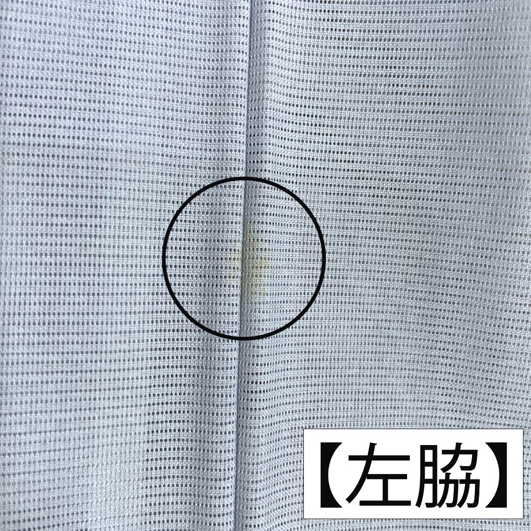 夏物 ポリエステル 付下げ Aランク 身丈160.5cm 裄丈63cm 蒼白色（そうはくしょく） 洗える着物 薔薇 流水 絽 水色系 1132006343424