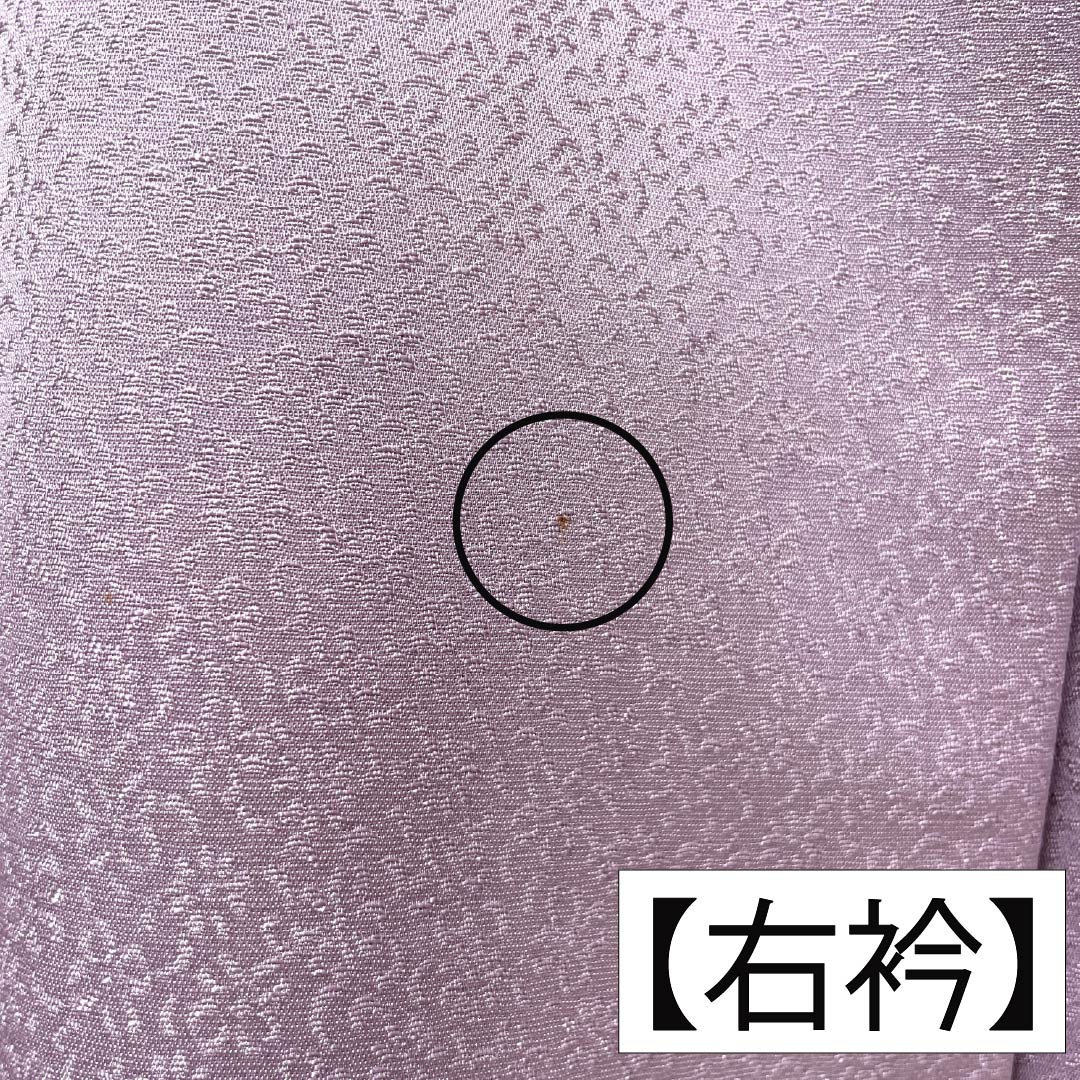 訪問着 正絹 Bランク 袷 身丈165.5cm 裄丈67.5cm 淡紅藤色（うすべにふじいろ） 付下げ 草花 紫系 1112007404520