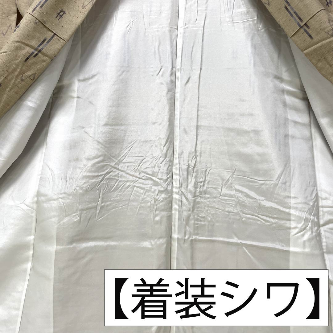 紬 正絹 Sランク 身丈162cm 裄丈65cm 白橡色（しろつるばみいろ） 米沢 ぜんまい紬 はればれ加工 袷 ベージュ系 1116004442425