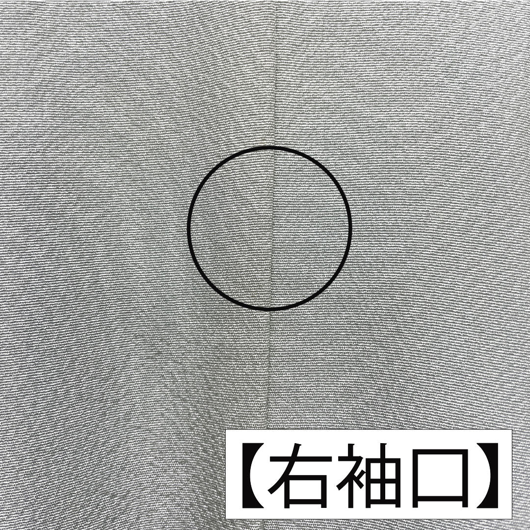 訪問着 正絹 袷 身丈153cm 裄丈65.5cm 秘色（ひそく） 京友禅 桜 椿 菊 スーパーガード加工 Aランク 水色系 1112005503224