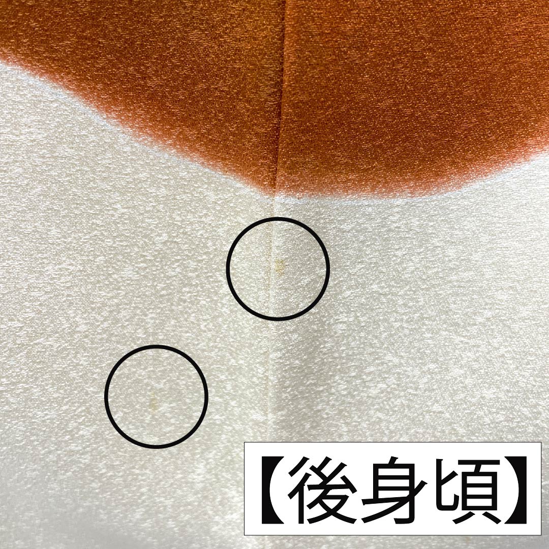 色留袖 正絹 Aランク 身丈160.5cm 裄丈62.5cm 袷 練色（ねりいろ） 三つ紋 五三桐 大丸別誂え 京友禅 金駒刺繡 松 三つ紋 クリーム系 1111001993415