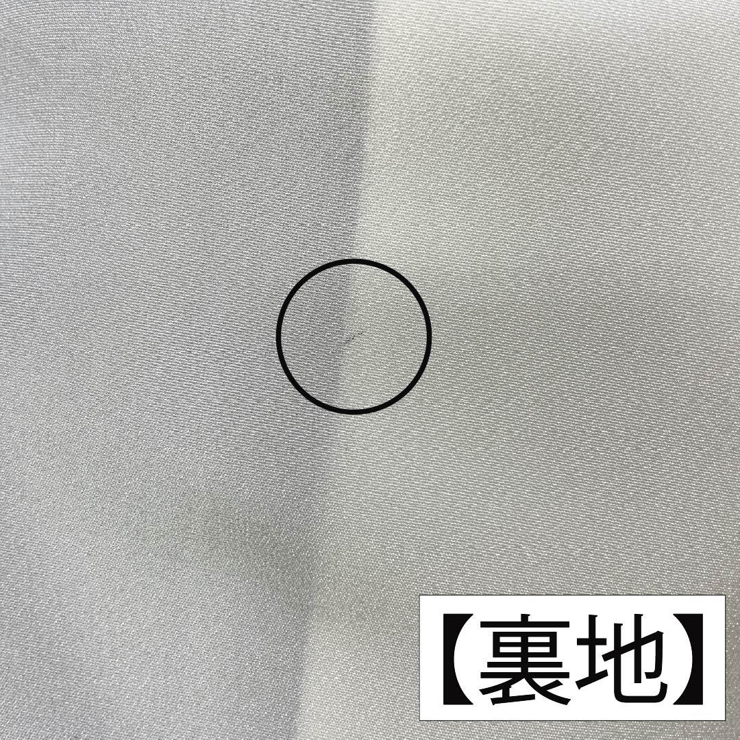 訪問着 正絹 Aランク 袷 身丈160cm 裄丈62.5cm 丁子煤竹色（ちょうじすすたけいろ） 琉球紅型 雪輪 鳳凰 風景 パールトーン加工 ベージュ系 1112007273425