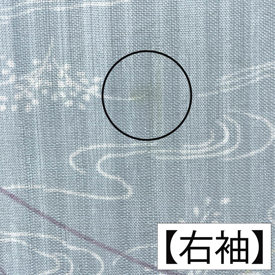 夏物 ポリエステル 小紋 身丈153cm 裄丈62.5cm 瓶覗色（かめのぞきいろ） 流水 秋草 洗える着物 紗 Aランク 水色系 1132002313224