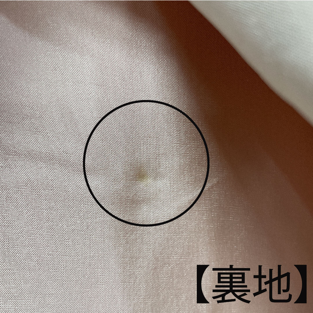 Homongi, pure silk, lined, length 161cm, sleeve length 63cm, coral color, Kyo-Yuzen, chrysanthemum, pine, A rank, orange, 1112002913426