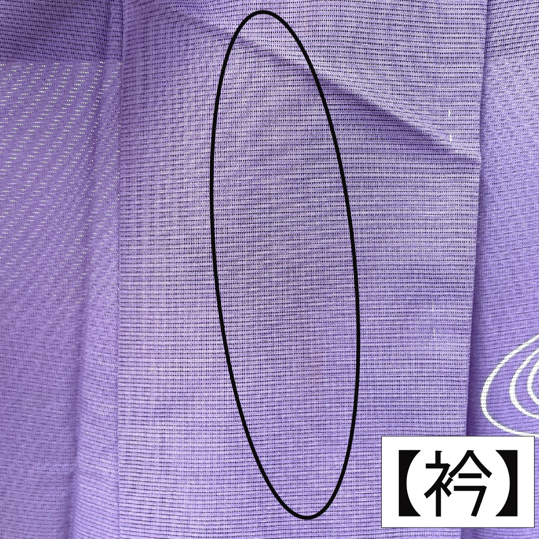 夏物 ポリエステル 訪問着 Bランク 身丈155.5cm 裄丈63cm 紫苑色（しおんいろ） 付下げ 鯉 流水 絽 紫系 1132004474320