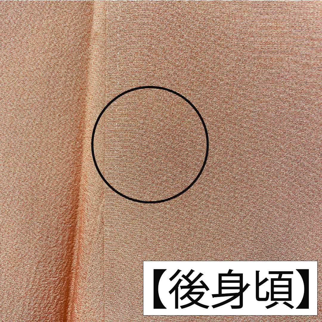色留袖 正絹 身丈155cm 裄丈62.5cm 袷 東雲色（しののめいろ） 蘇州刺繡 吉祥文様 一つ紋 丸に違い鷹の羽 Bランク ピンク系 1111001694313