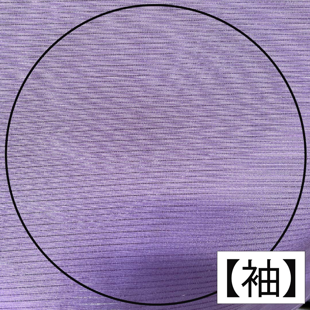 リサイクル着物】夏物 正絹 色無地 Aランク 身丈154.5cm 裄丈63.5cm 葵