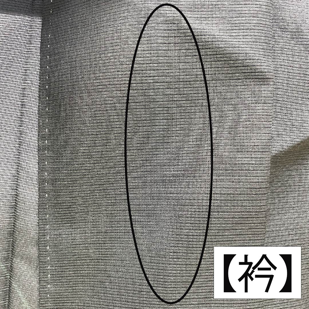 夏物 ポリエステル 付下げ Aランク 身丈154.5cm 裄丈64cm 枝模様 洗える着物 絽 黒系 1132005233210