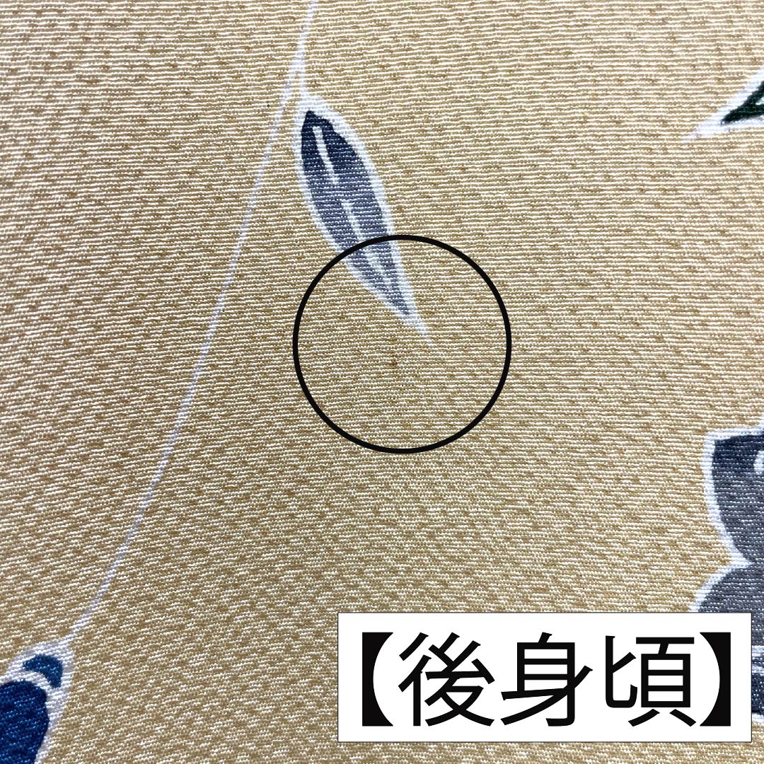 振袖 正絹 Aランク 身丈176.5cm 裄丈66cm 袷 薄柑子色（うすこうじいろ） 京紅型 吉祥文様 桜 牡丹 橙系 1113002343826