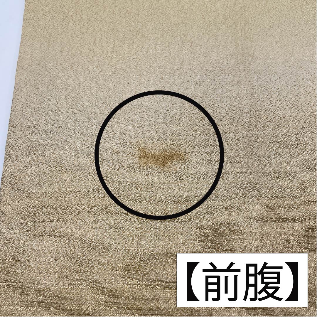 （丸帯）袋帯 正絹 鳥の子色（とりのこいろ） 丸帯 アンティーク 刺繍 帯丈410cm Aランク ポイント柄 フォーマル ベージュ系 1123013863325