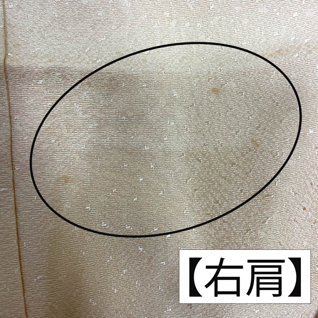 訪問着 正絹 Sランク 袷 身丈155cm 裄丈58cm 薄肉色（うすにくいろ） 縫い紋 下り藤 刺繍 重ね衿付き 草花 橙系 1112006242326