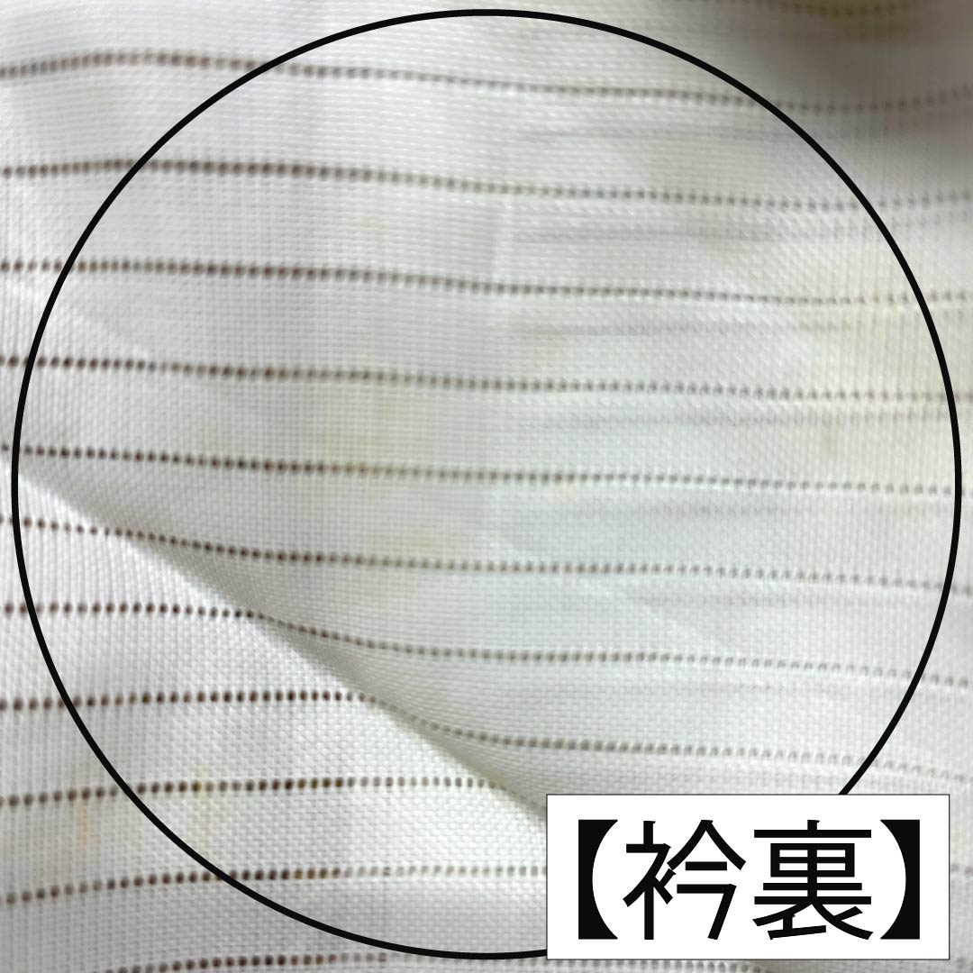 夏物 ポリエステル 小紋 Aランク 身丈151.5cm 裄丈61.5cm 芽色（かやいろ） 松葉 洗える着物 絽 ベージュ系 1132005403225