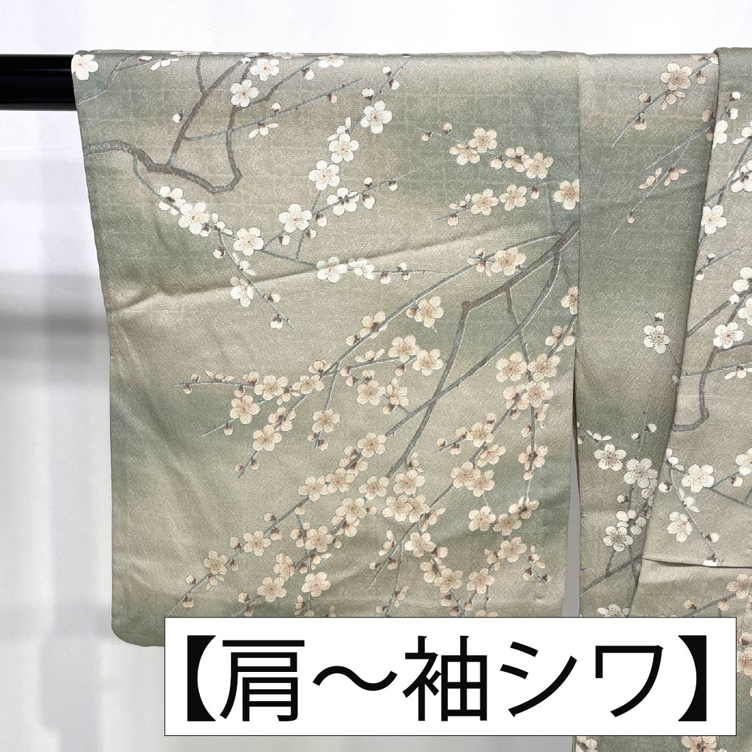 Komon Polyester S Rank Length 161cm (63.4in) Sleeve-to-sleeve 66cm (26.0in) Unlined Enshū-nezumi (Muted Gray) Stenciled Dyeing Gradated Dyeing Cherry Blossom Washable Kimono Beige-tone 1115007802425