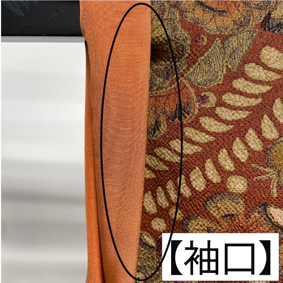 訪問着 正絹 袷 身丈153.5cm 裄丈67.5cm 赤錆色（あかさびいろ） 辻ヶ花 Aランク 茶系 1112004873214