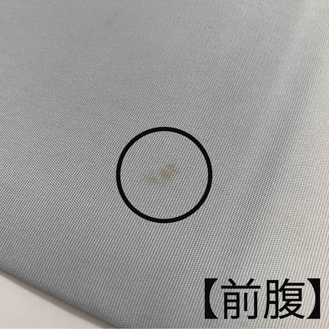 名古屋帯 白藍色 塩瀬 鯉 滝登り 帯丈383cm 正絹 Aランク ポイント柄 カジュアル 水色系 1124005613324  名古屋仕立て