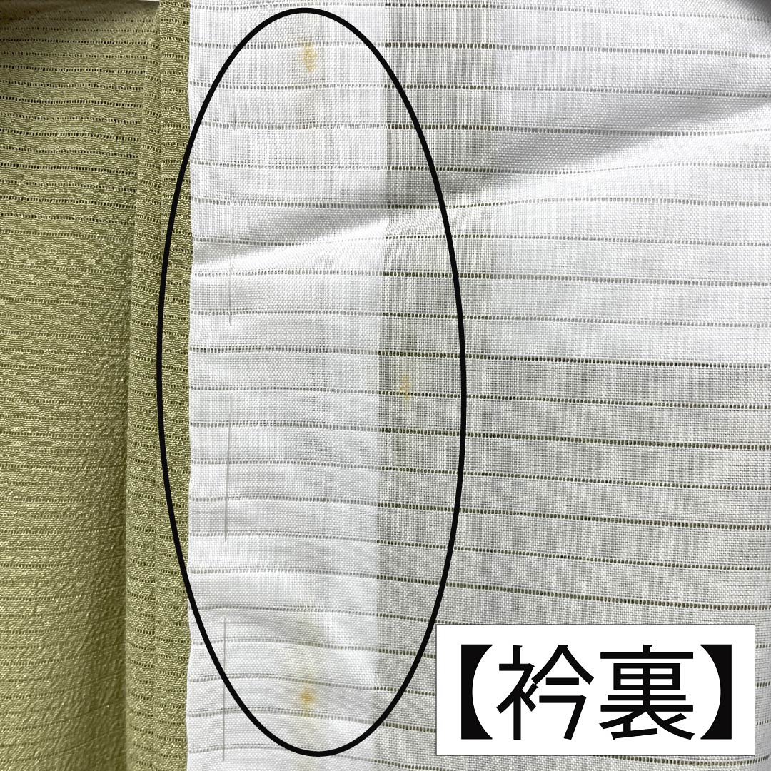 夏物 正絹 色無地 Aランク 身丈166cm 裄丈67cm 裏柳色（うらやなぎいろ） 素無地 居敷当て付き 絽 緑系 1132005683519
