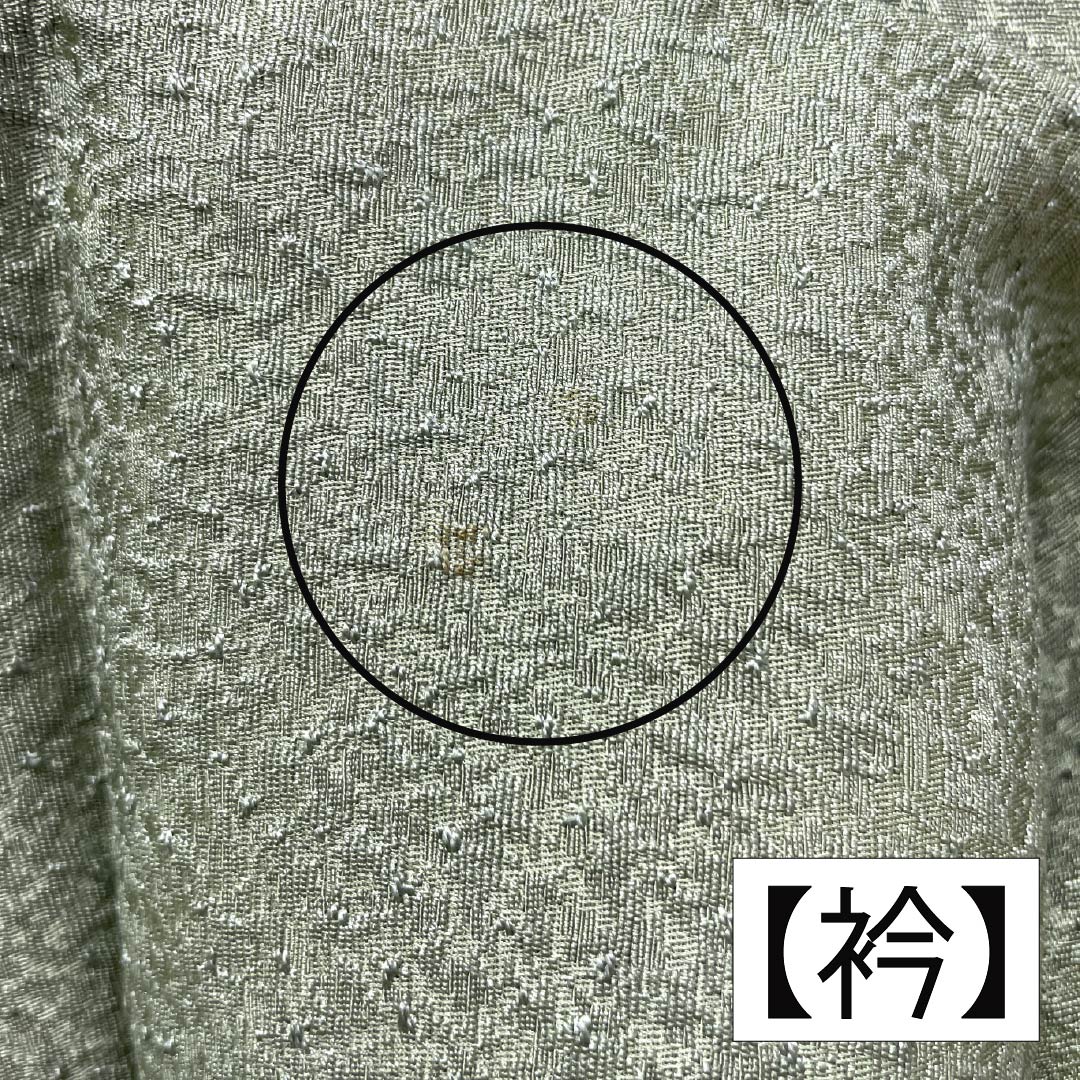 色無地 正絹 Bランク 身丈154cm 裄丈65cm 裏葉色（うらはいろ） 単衣 緑系 1114002374219