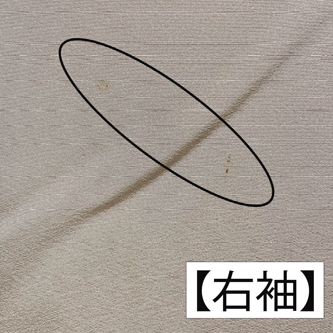 訪問着 正絹 Aランク 袷 身丈150.5cm 裄丈61cm 乙女色（おとめいろ） 加賀友禅 草花 ピンク系 1112006203113