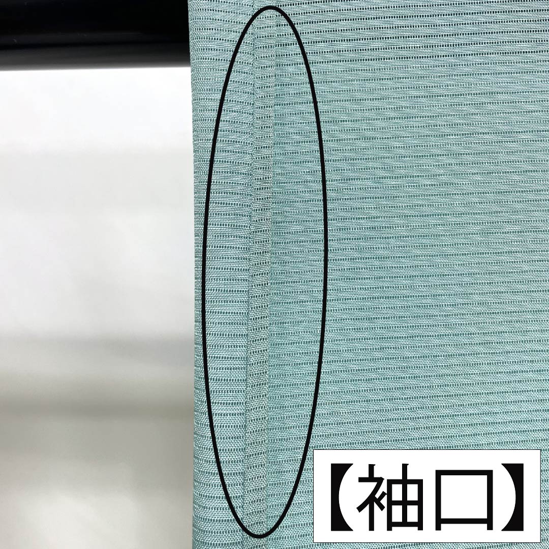 夏物 正絹 付下げ Aランク 身丈157.5cm 裄丈62.5cm 薄水色（うすみずいろ） 蘇州刺繡 雪輪 一つ紋 絽 水色系 1132007223324