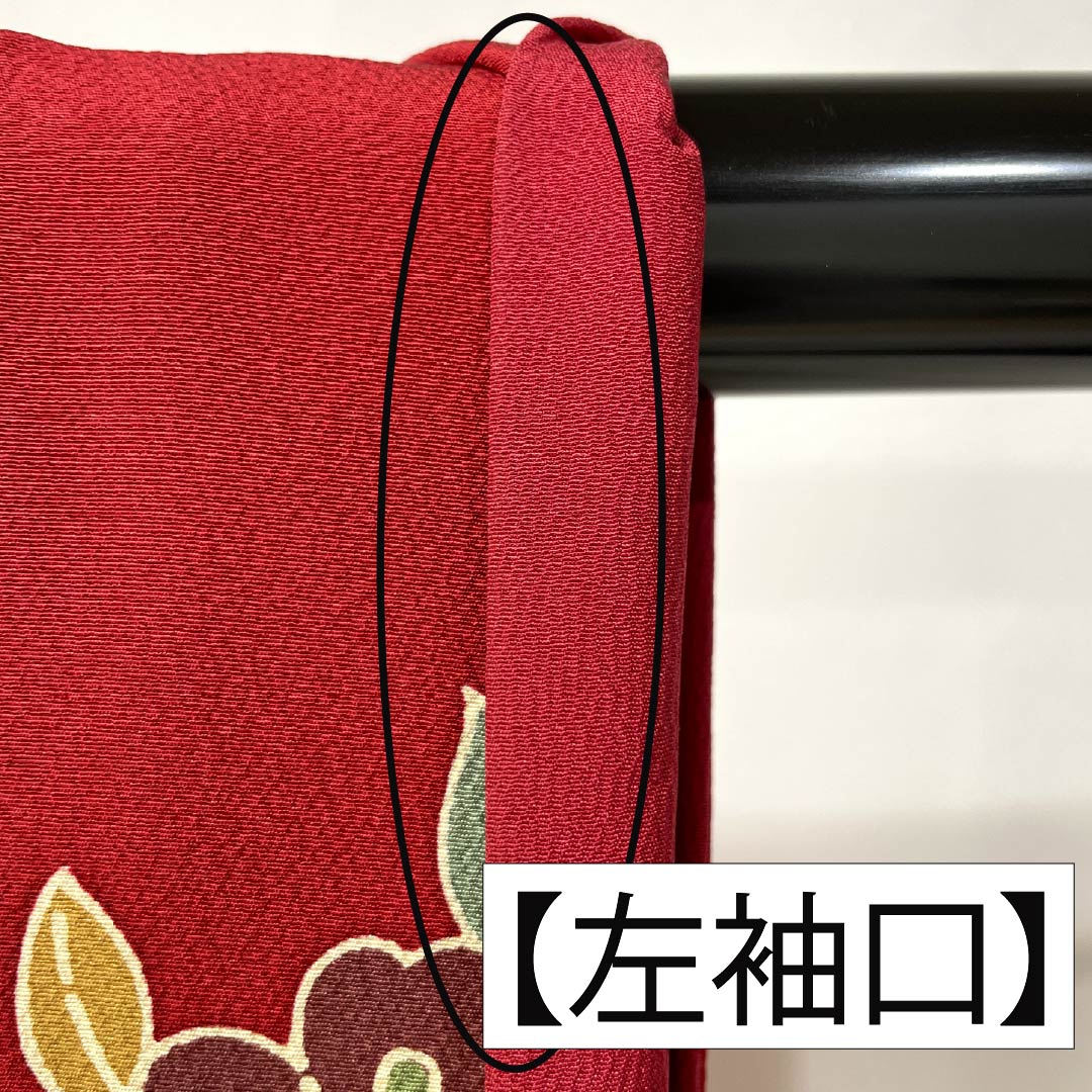 振袖 正絹 Aランク 身丈158.5cm 裄丈67cm 袷 紅赤色（べにあかいろ） 京紅型 吉祥文様 蝶 菖蒲 橘 赤系 1113002283312