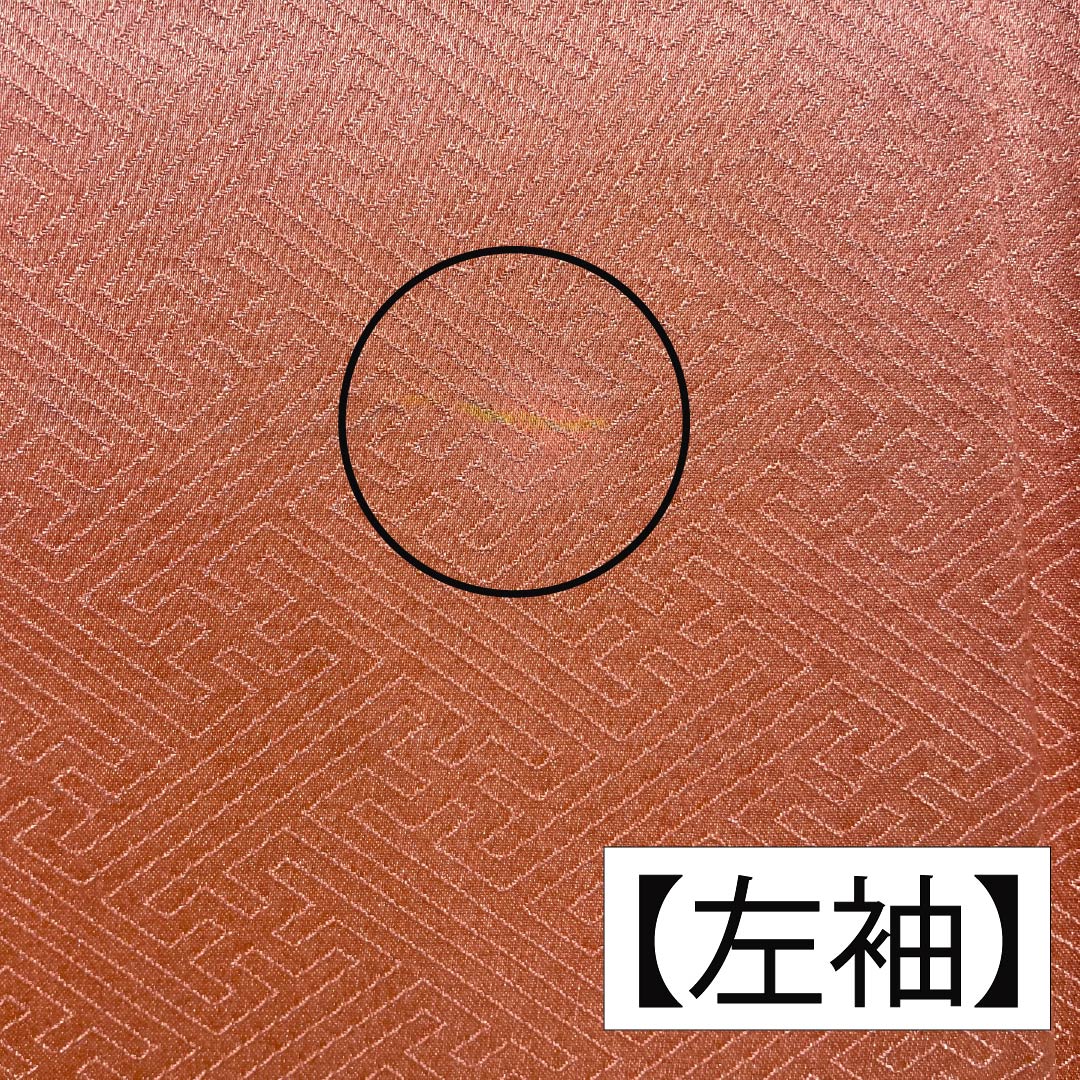 訪問着 正絹 Aランク 袷 身丈160.5cm 裄丈65.5cm 榴花紅色（リューホワホンいろ） 京友禅 雪輪 菊 橘 紗綾形 ピンク系 1112006233413