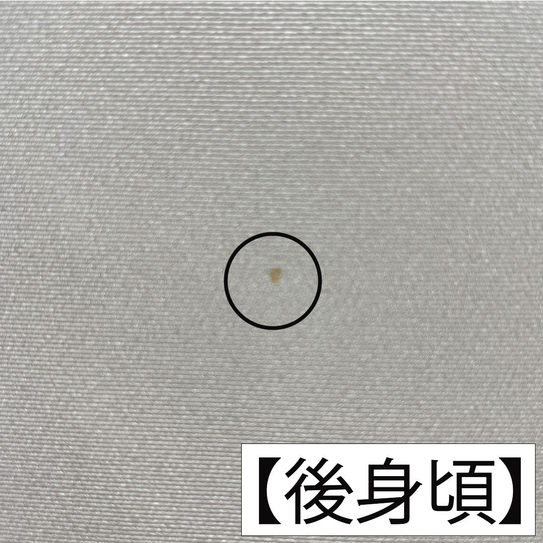 訪問着 正絹 袷 身丈167.5cm 裄丈66.5cm 生成り色（きなりいろ） 京友禅 吉祥文様 付下げ Aランク グレー系 1112005703522