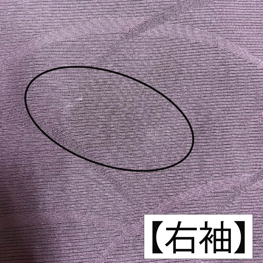 夏物 ポリエステル 色無地 Aランク 身丈158.5cm 裄丈65.5cm 紫烏色（しうしょく） 露芝 絽 紫系 1132004793320