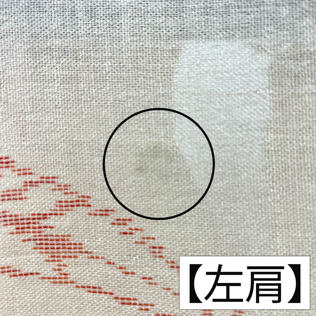 夏物 ウール 紬 Aランク 身丈159.5cm 裄丈65.5cm 練色（ねりいろ） サマーウール 草花模様 紗 クリーム系 1132005253315