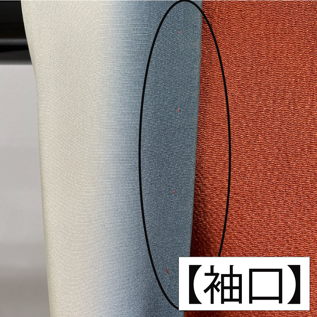 訪問着 正絹 袷 身丈165.5cm 裄丈65cm 弁柄色（べんがらいろ） 京友禅 茶屋辻風景模様 ちりめん地 Aランク 朱系 1112005923516