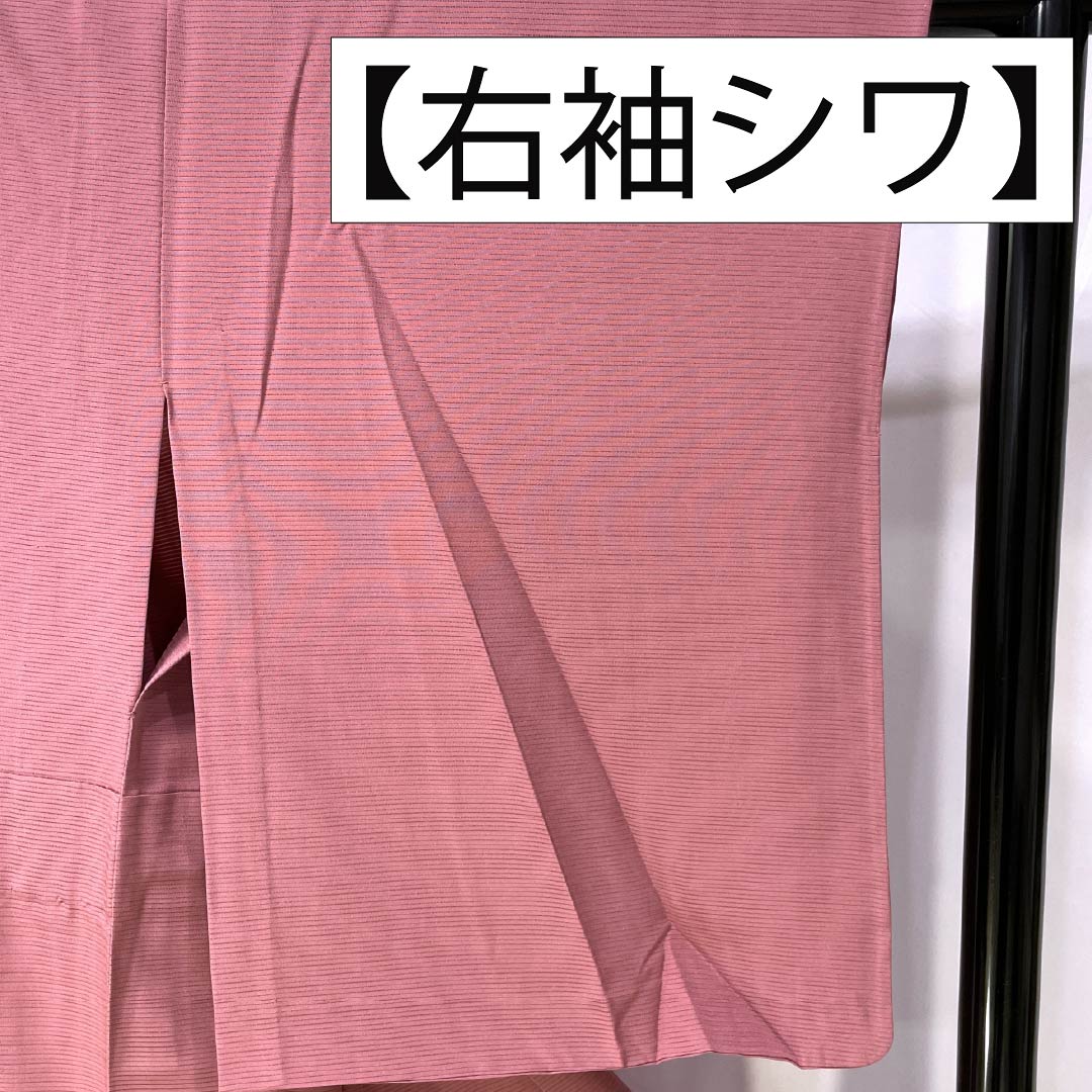 夏物 正絹 色無地 Sランク 身丈158cm 裄丈61.5cm 中紅花色（なかのくれないいろ） 素無地 一つ紋 丸に剣片喰 絽 ピンク系 1132004892313