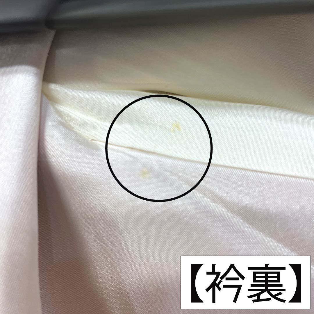 振袖 正絹 Aランク 身丈153.5cm 裄丈64cm 袷 紅鶸色（べにひわいろ） 京友禅 花丸文 牡丹 ソフトガード加工 ピンク系 1113002843213