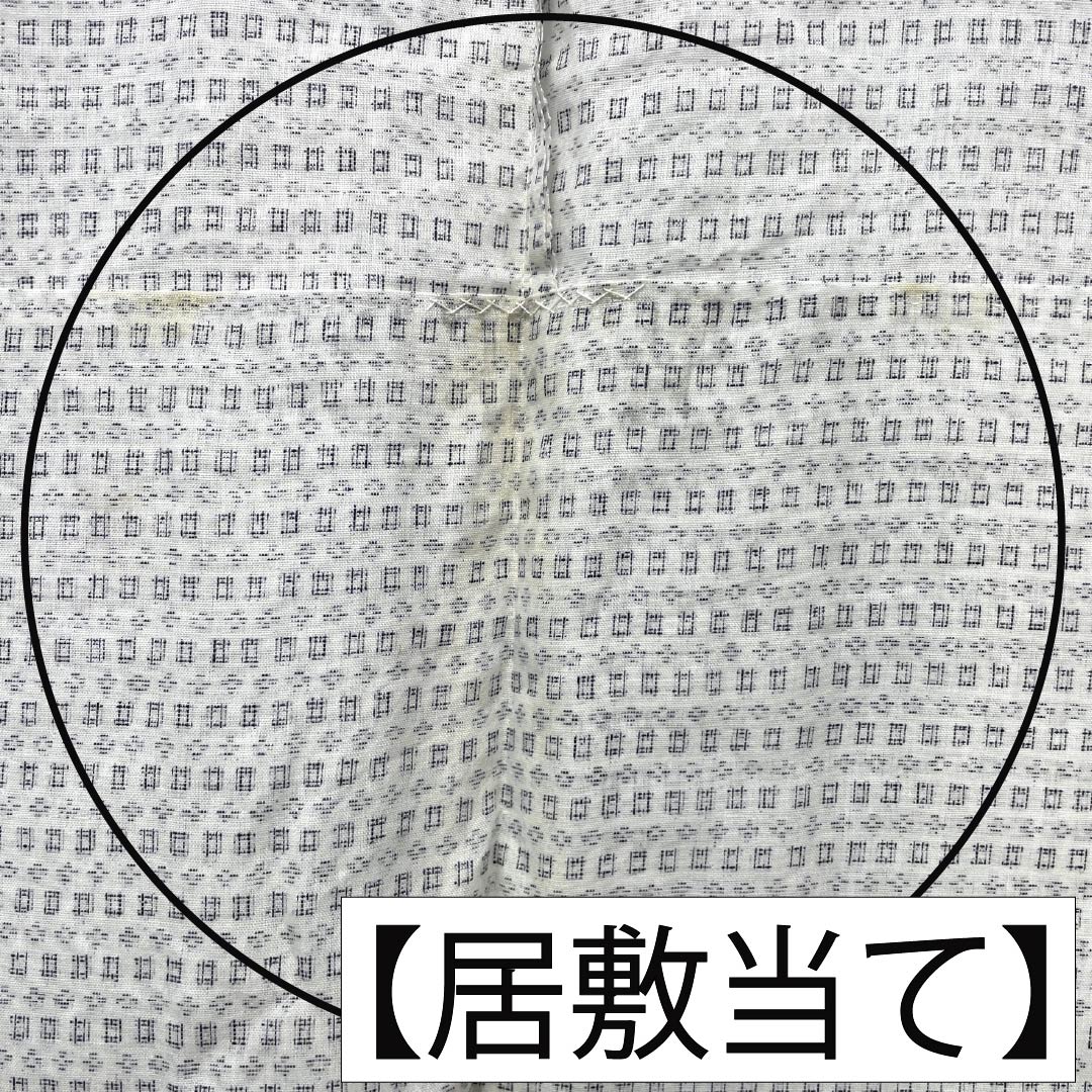 夏物 綿麻 男物 Bランク 身丈149cm 裄丈69cm 絣柄 紗 白系 1132006464411