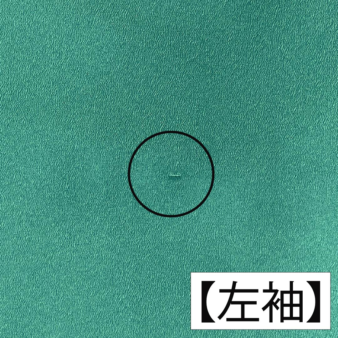 Formal Kimono, Polyester, Rank A, Unlined, Length 166.5cm, Sleeve-to-sleeve 66.5cm, Moe-gi Green, One Family Crest (Kage-tsuta), Stencil-dyed, Arabesque, Washable Kimono, Green Tones, 1112007613519