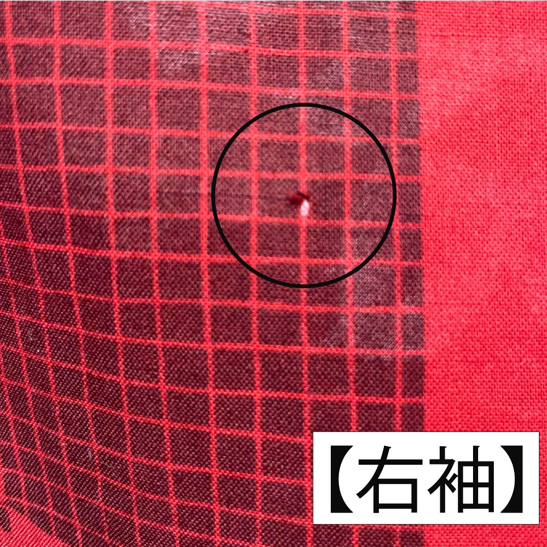 浴衣 木綿 身丈165.5cm 裄丈67.5cm Sランク 単衣 赤系 赤紅色（あかべにいろ） 矢絣 花 1118005482512