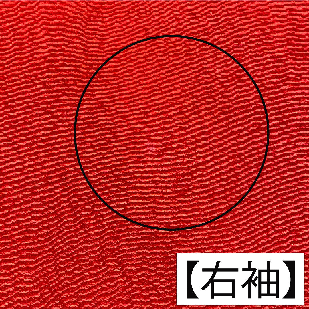 色打掛 正絹 身丈194cm 裄丈67cm 猩々緋色（しょうじょうひいろ） 京友禅 鶴 吉祥文様 Sランク 袷 赤系 1110000842912