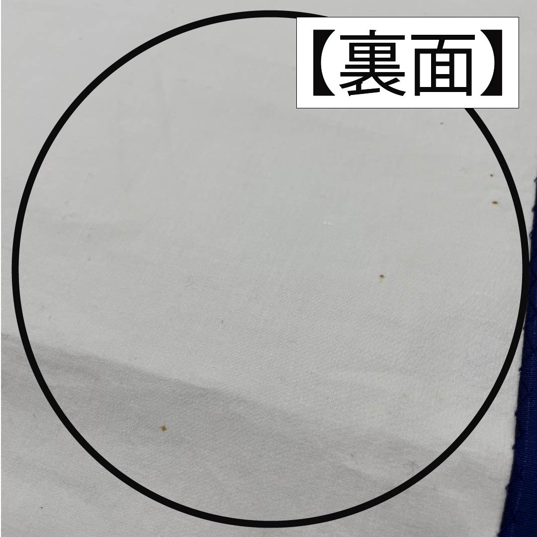 名古屋帯 生成り色（きなりいろ） 京紅型 牡丹 紅葉 帯丈348cm 正絹 Aランク 六通 カジュアル クリーム系 1124006773315 開き仕立て