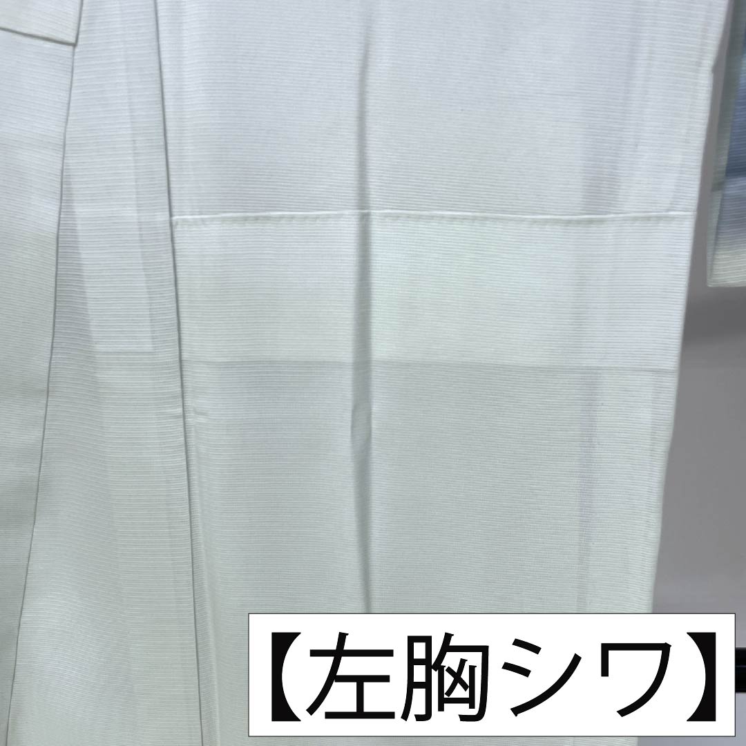 夏物 正絹 付下げ Sランク 身丈153cm 裄丈62.5cm 卯の花色（うのはないろ） ボカシ染 霞模様 絽 水色系 1132006402224