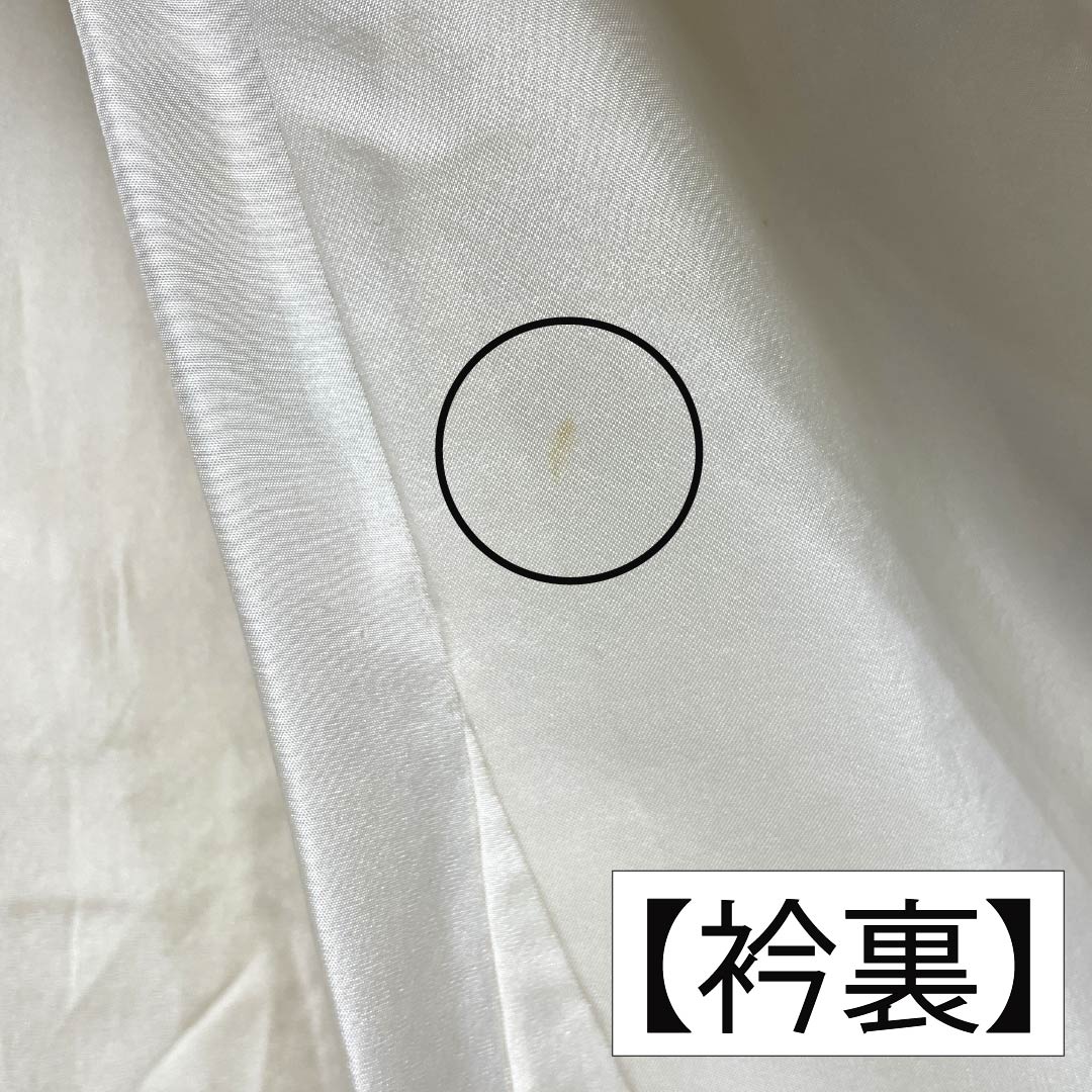 小紋 正絹 Aランク 身丈154.5cm 裄丈63.5cm 袷 薄卵色（うすたまごいろ） 花 紬地 パールトーン加工 クリーム系 1115006913215