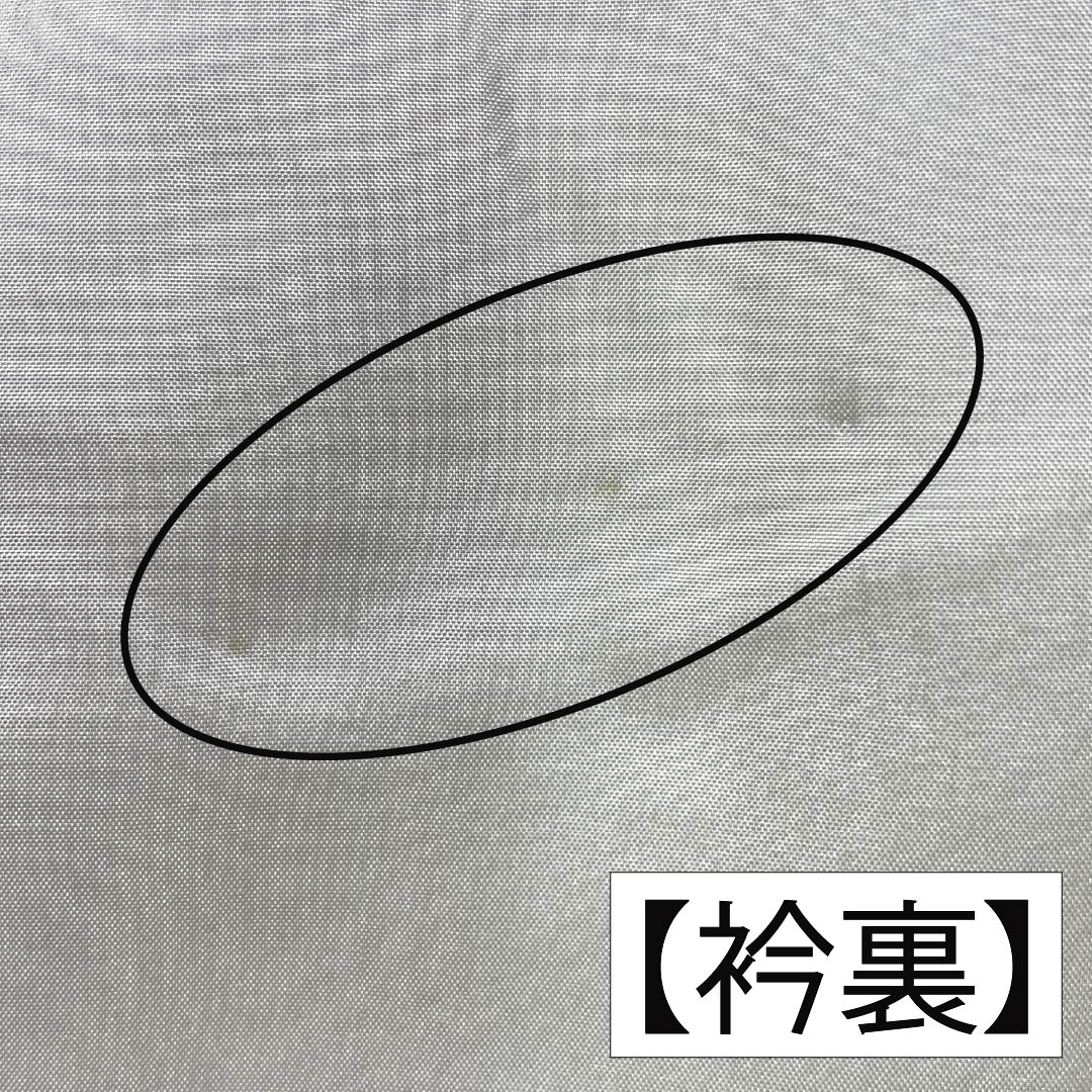 訪問着 正絹 Sランク 袷 身丈157.5cm 裄丈63cm 鮭色（さけいろ） 丸に蔦 付下げ 一つ紋 刺繍 草花 ピンク系 1112006332313